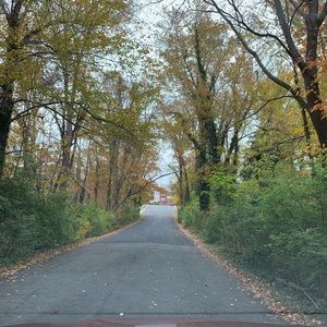 Meet your Posher, Amira